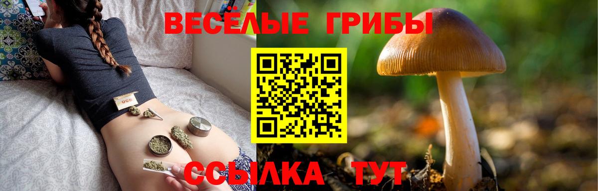 Галлюциногенные грибы MAGIC MUSHROOMS  Вход с VPN  Псилоцибиновые грибы GOLDEN TEACHER  Клин 